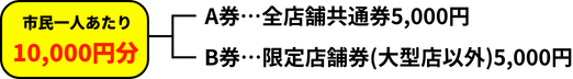市民一人あたり10,000円分 A券：全店舗共通券5000円、B券：限定店舗券（大型店以外）5,000円